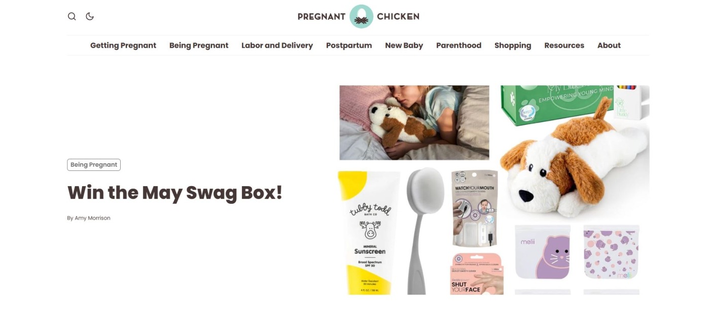 Best Blogging Jobs For Moms Pregnant Chicken