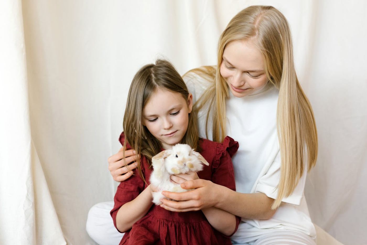 Craft Business Pet Products