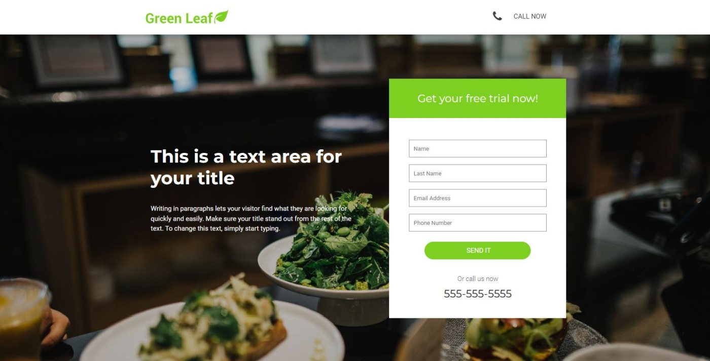 Freelancer Website Template Consultant