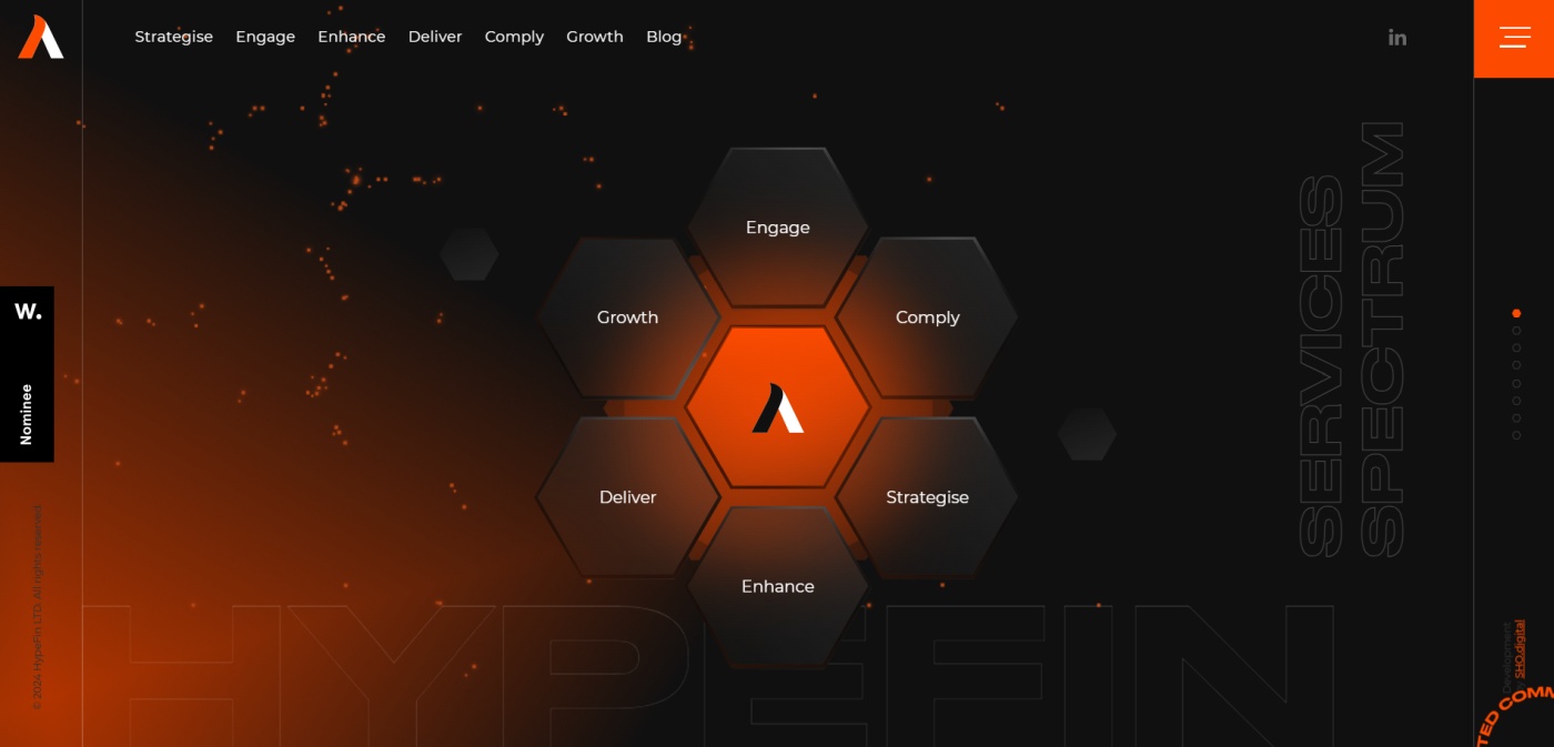 Consulting Website Hype Finance Technology