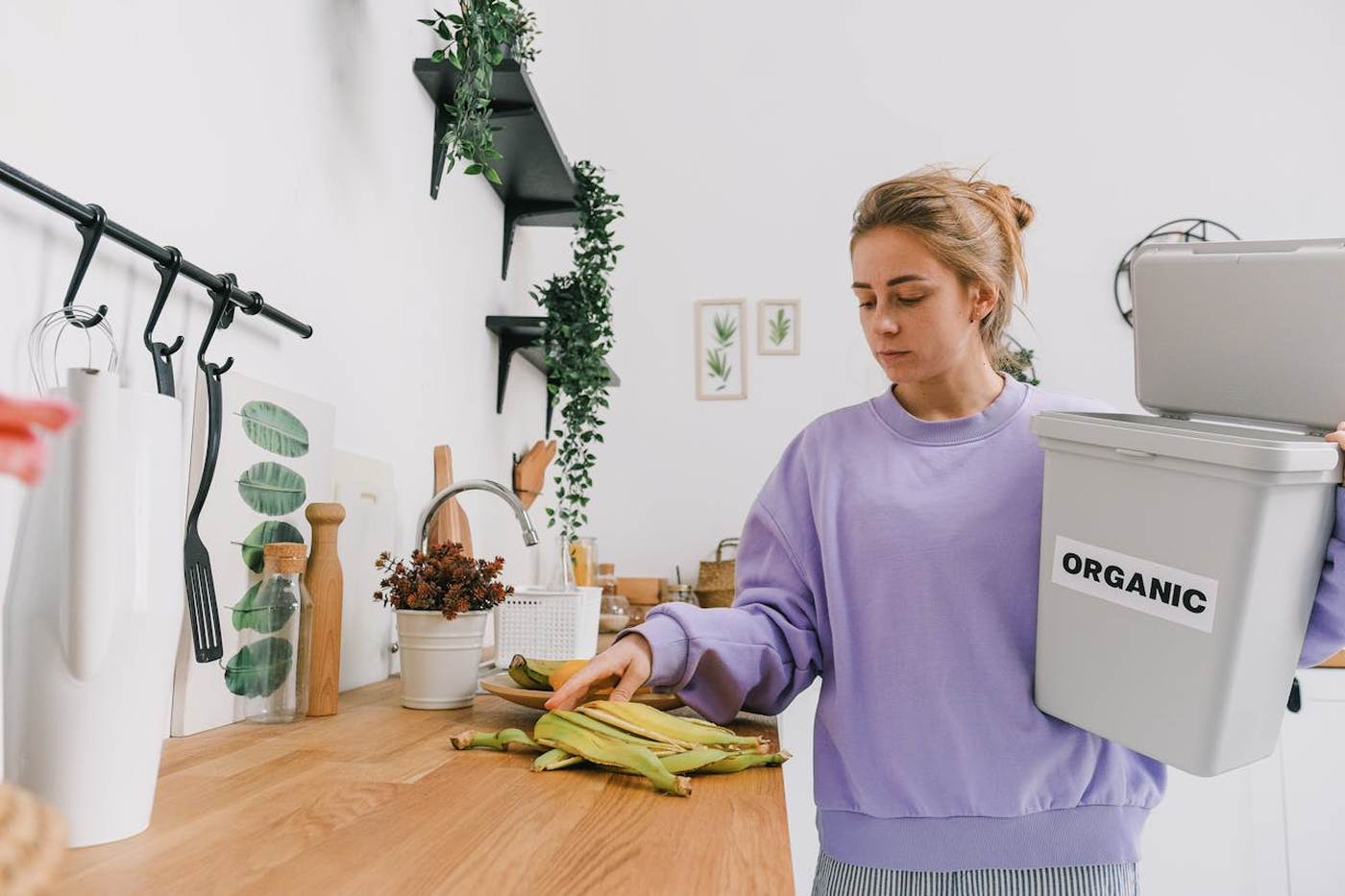 social entrepreneurship food waste solutions