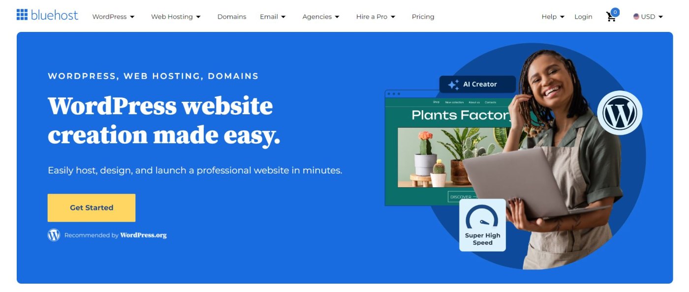 Bluehost Home