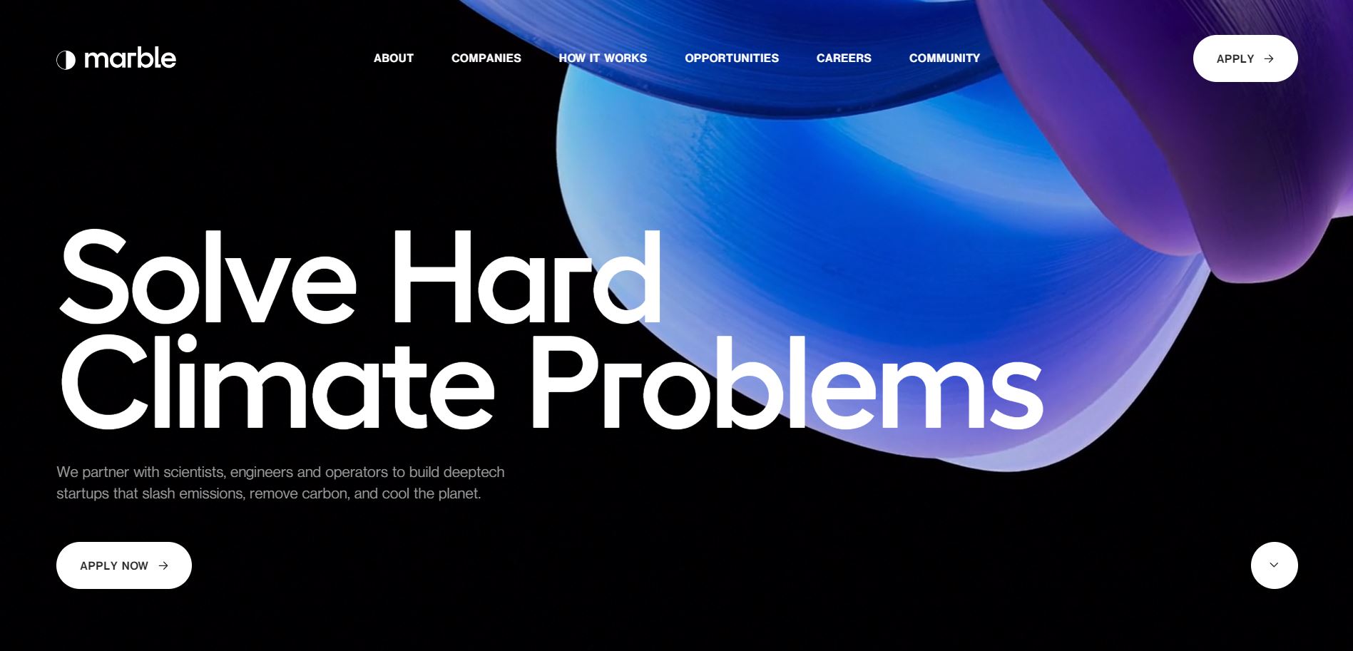 Startup Websites Marble Studio