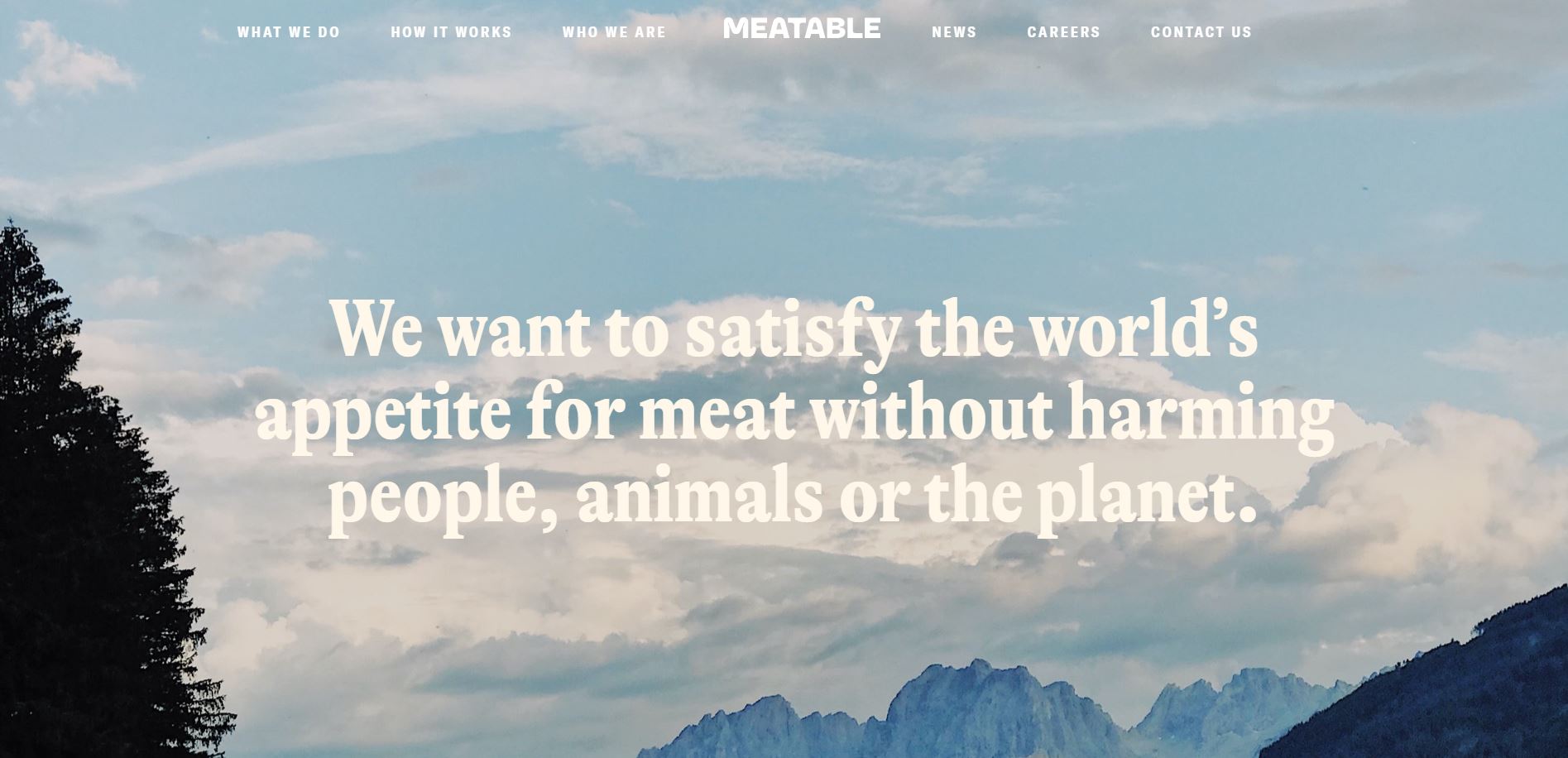 Startup Websites Meatable