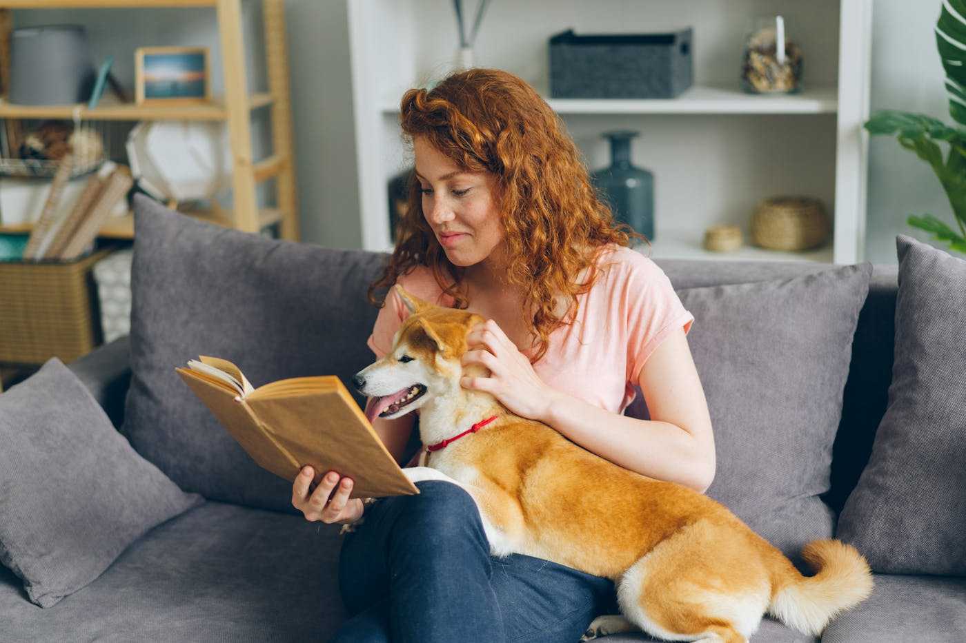 Family Business Idea-Pet Sitting
