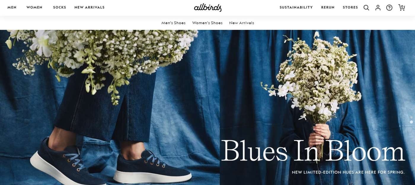 Ecommerce Website Examples Allbirds